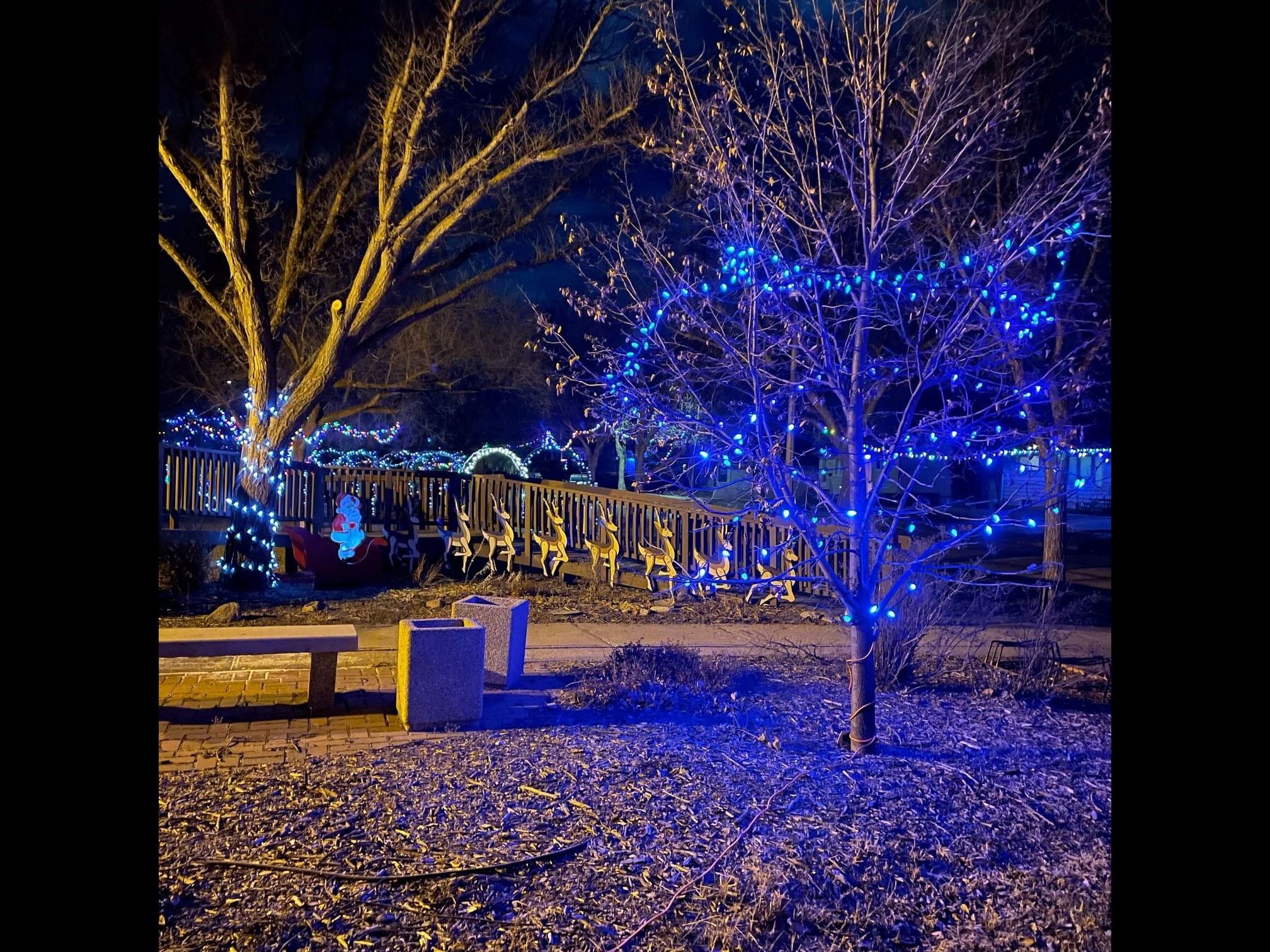 winter wonderland dusk photo