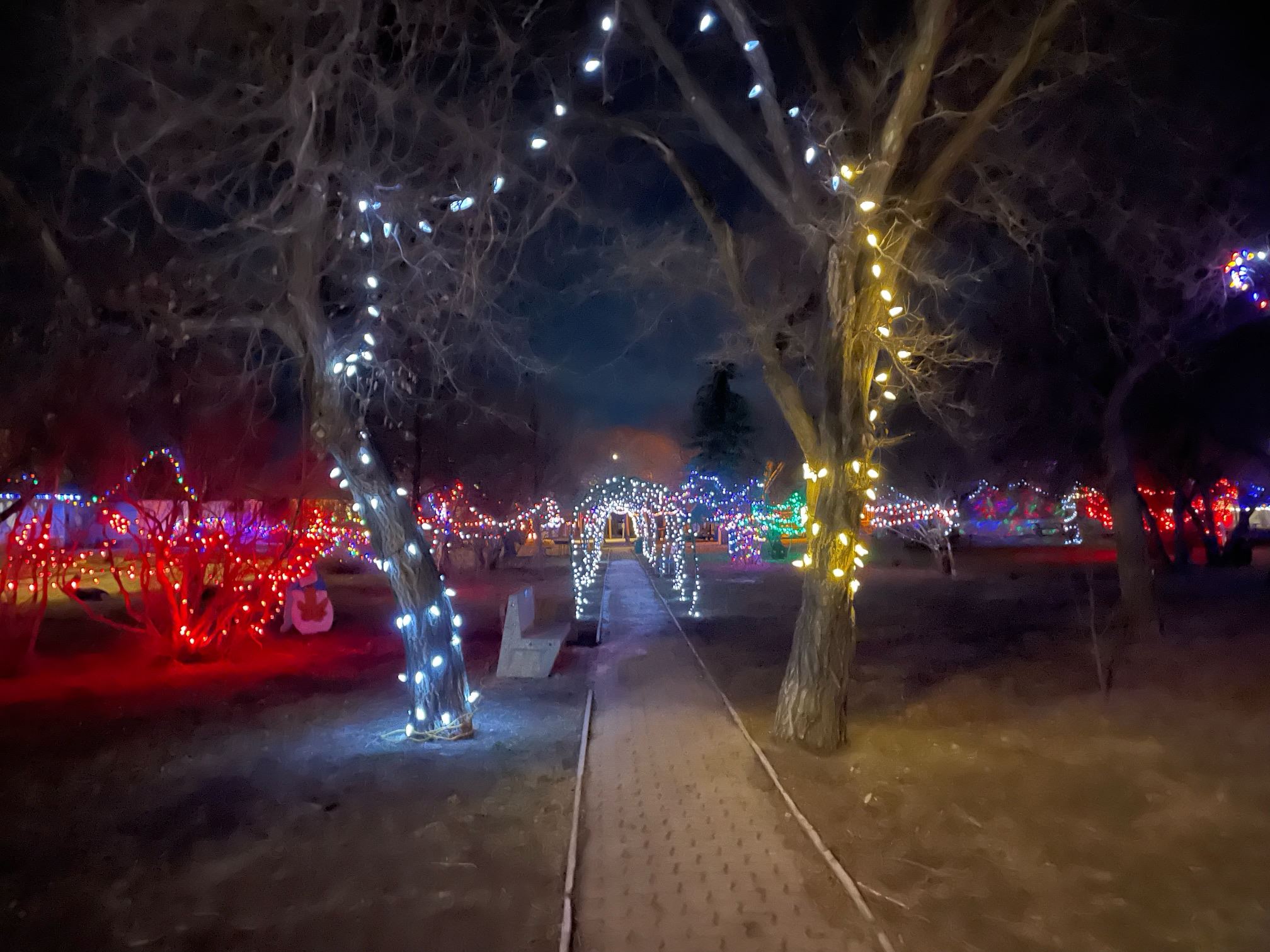 winter wonderland pic